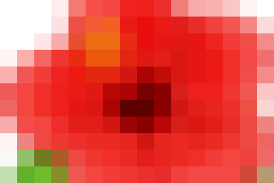 VINH DANH HỌC SINH GIỎI NĂM HỌC 2024-2025